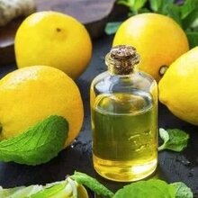 狭叶薰衣草精油提取设备图片