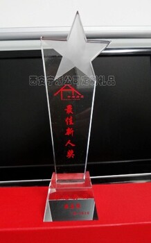 西安水晶奖杯定制公司企业活动比赛员工内雕奖杯赠送礼盒