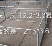 2.5热塑料仔猪保育床结实的保育栏