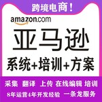 无需要经验操作亚马逊跨境电商oem定制贴牌erp运营管理