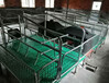 上海崇明制造母豬產床
