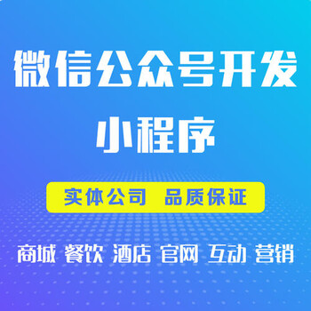 软件开发，小程序，网站建设