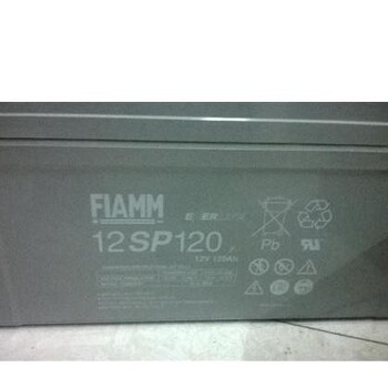 非凡蓄电池FIAMM12SP120意大利12v120ah直流屏蓄电池现货包邮