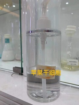 广州怡嘉生物科技化妆品代加工紧致抗衰提亮肤色苹果干细胞