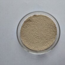 饲料用酿酒酵母200亿活菌图片