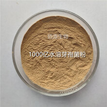 乳酸菌原粉100亿水产养殖饲料添加用嗜酸乳杆菌图片