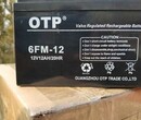 OTP蓄电池6FM-1212V12AH图片