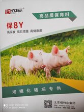 低成本高效益——保八Y图片