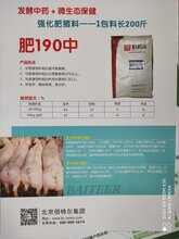 推荐强化肥猪料1包长200斤——肥190中图片