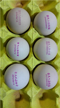 池州鸡蛋喷码机价格