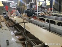 天津河西竹木纤维内装扣板样式优雅图片5
