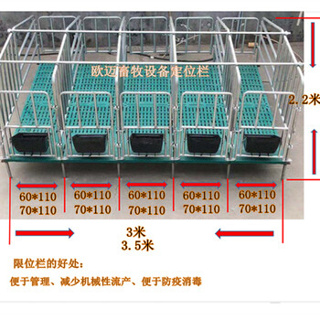 养猪设备现货供应落地式有板式猪用限位栏定位栏热镀锌围栏可定做