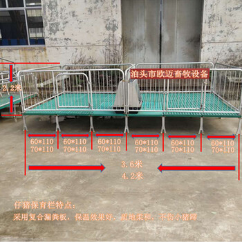 养猪设备现货供应热镀锌全复合仔猪保育床可定做