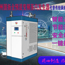 河北国扬全预混冷凝燃气蒸汽发生器适用于塑料泡沫加工厂家