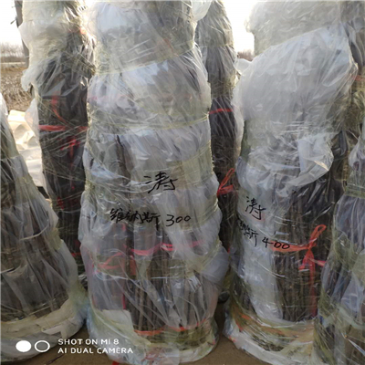 矮化煙富蘋(píng)果苗介紹