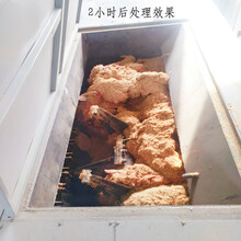 内蒙古病死骆驼猪羊无害化高温发酵生物降解机