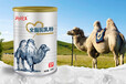 新疆花麒奶业《御驼王》骆驼奶粉招代理个经销商价格优惠