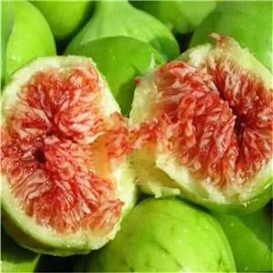 瑪斯義陶勞無(wú)花果苗廠家-布蘭瑞克無(wú)花果苗品種