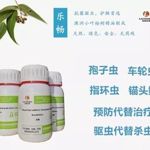 厂家直销乐畅桉树精油防控鲫鱼指环虫防控鲫鱼寄生虫图片