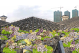深圳市花境设计找我们