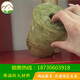 未標(biāo)題-56_副本