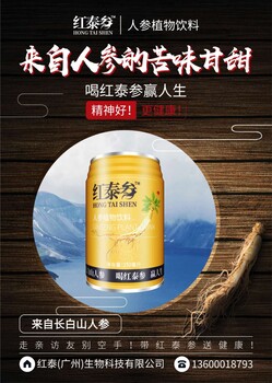人參飲料紅泰參人參飲料營(yíng)養(yǎng)健康植物飲料
