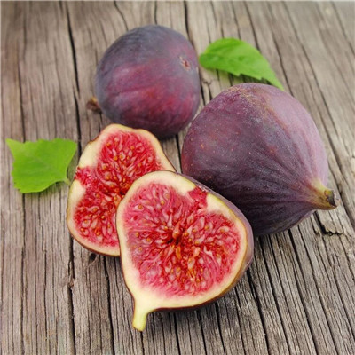 兩公分無花果苗批發(fā)多錢中農(nóng)紅無花果苗苗場電話