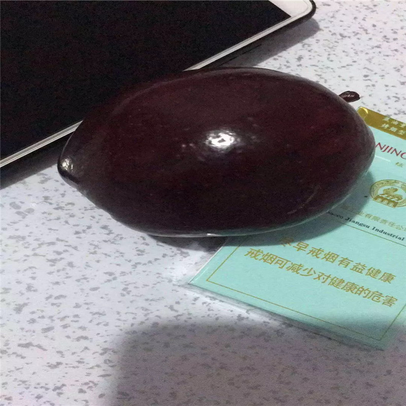 明月蘋果苗基地報價 兩年生蘋果苗明月蘋果苗一棵價錢