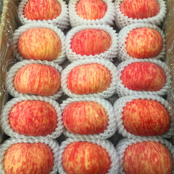 水蜜桃苹果苗品种特色介绍新品种苹果苗水蜜桃苹果苗一棵价钱