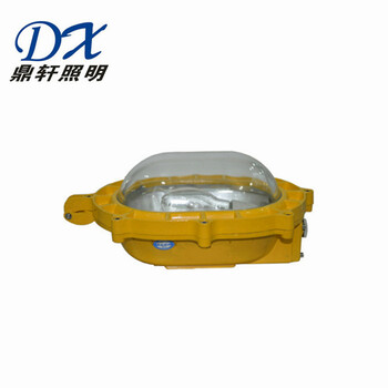 鼎軒廠家供應(yīng)BR9100C-20W內(nèi)場(chǎng)強(qiáng)光防爆泛光燈