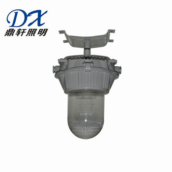 DSFG-703防眩通路灯150W金卤灯钠灯钢铁厂电厂防腐泛光灯