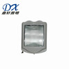 DSFG-706防眩泛光燈250W/400W戶外工礦道路燈220V