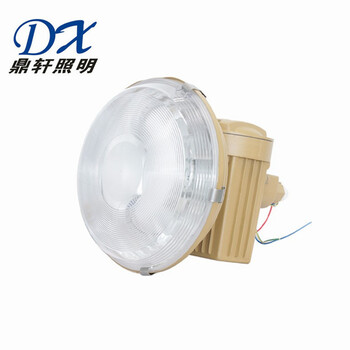 SBD1105-120W免维护节能防爆泛光灯吸顶灯具