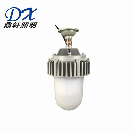 ZAD8840防眩泛光灯80W/100W电厂车间灯具