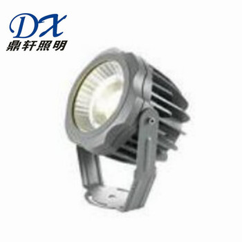 GDF9133座式LED投光灯100W鼎轩照明