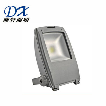LED投光燈NSC9113座式壁掛式場館泛光燈220V電壓