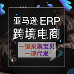 烟台亚马逊教学培训ERP系统数据私有化ERP系统招商部署