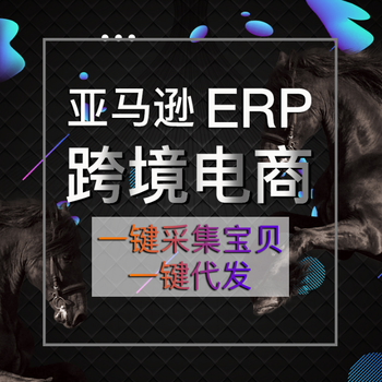 德州做亚马逊教学培训ERP系统立部署ERP系统数据私有化