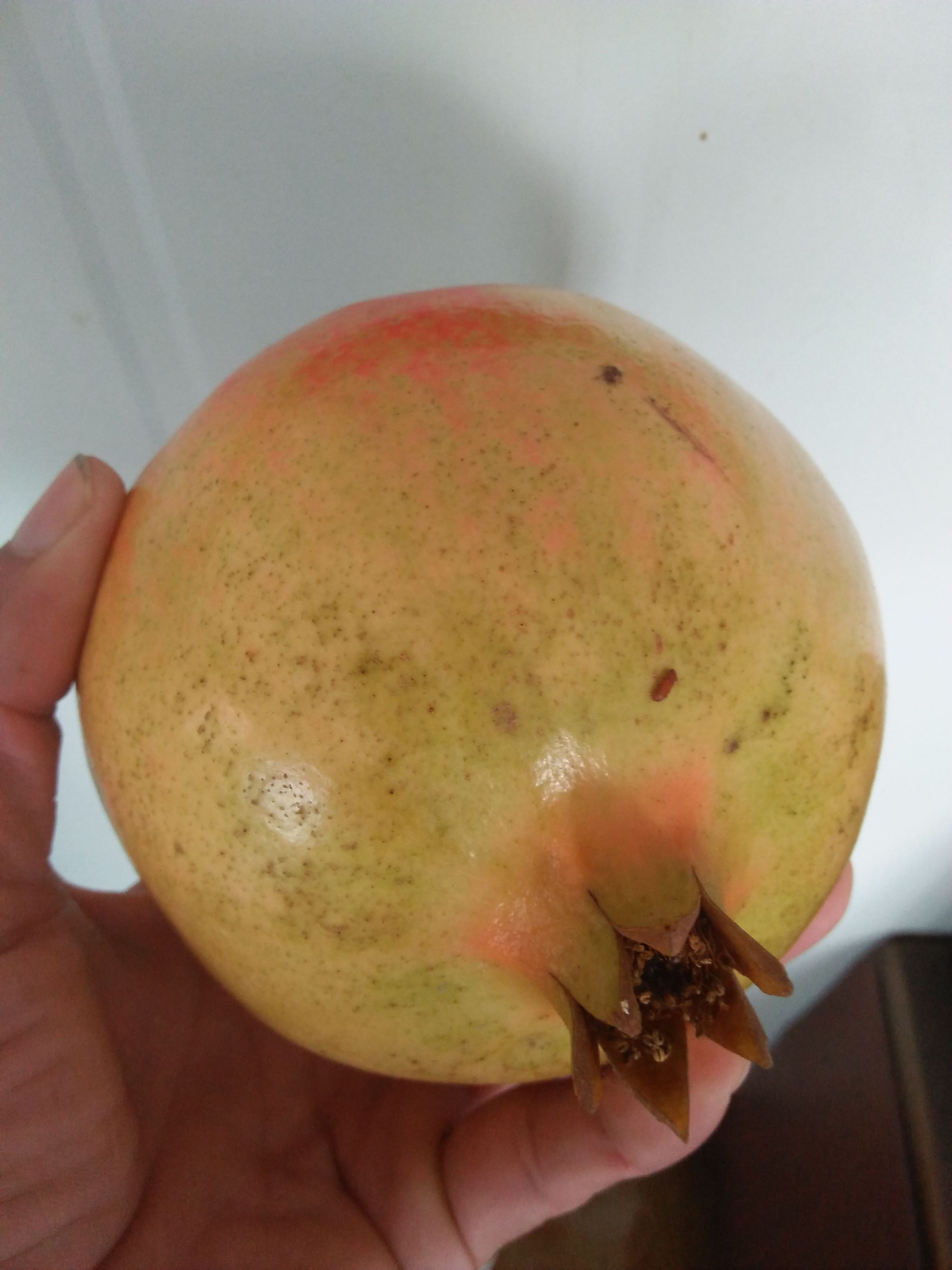 新疆博尔塔拉红富士苹果树苗多少钱