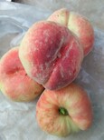 露天草莓苗出售重庆涪陵图片0