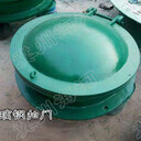 海南直徑600mm鋼管法蘭連接式PMY型玻璃鋼拍門鋼制拍門