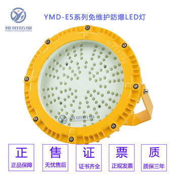 DC24V50W防爆防腐工厂壁灯