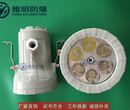 BAK51-LED-5W24V36V220V防爆视孔灯图片