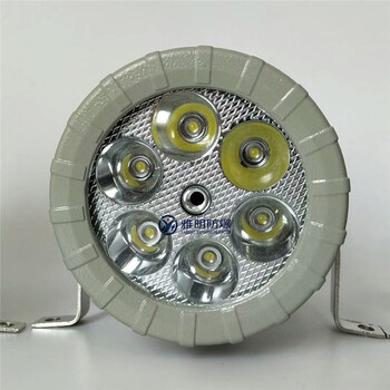 LED-DC36V5W10W物料观察防爆视镜灯