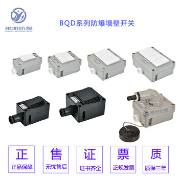 BQM-3K-2K-1K雙控防爆墻壁開關(guān)