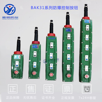 BAK31-BAK41-BAK63电葫芦防爆控制按钮