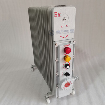 BYT-2500W13片IIBT4防爆电暖器