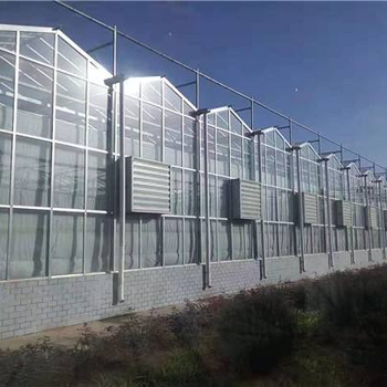安阳玻璃温室大棚造价预算
