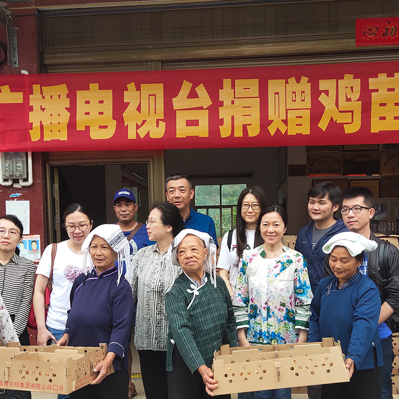 江苏无锡土鸡苗批发价格