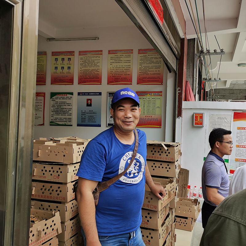 自贡土鸡苗批发价钱-大都市鸡苗价格